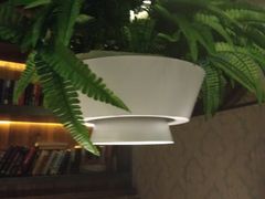 -天山醉美辣子鸡(文艺路店)