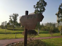 -滨湖塘西河公园