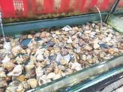 -渔民新村(番禺总店)