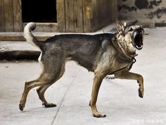 -百姓康洁洗浴(红桥店)