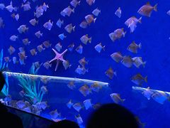 -沈阳海洋探索中心