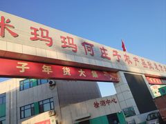 -何庄子阿米玛玛农产品批发市场