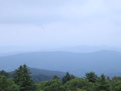 -老秃顶草原景区