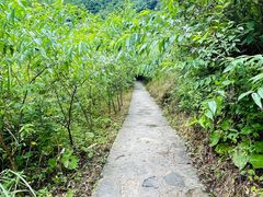 -鹿院坪生态旅游景区