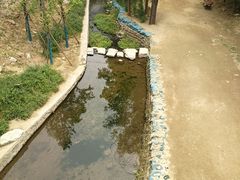 -白水寺森林公园