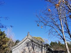 -北坞公园