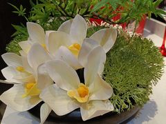 -丰收日(五角场店)