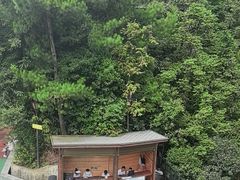 -梦幻奥陶纪景区