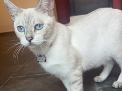 -李叔同故居纪念馆
