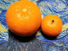 -优托邦(长兴路店)