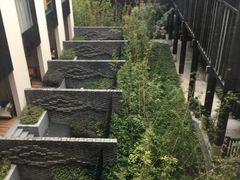 -上海崇明金茂凯悦酒店