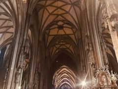 -斯蒂芬主教座堂(Stephansdom)