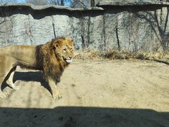 -北京野生动物园