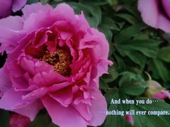 -大钟寺古钟博物馆