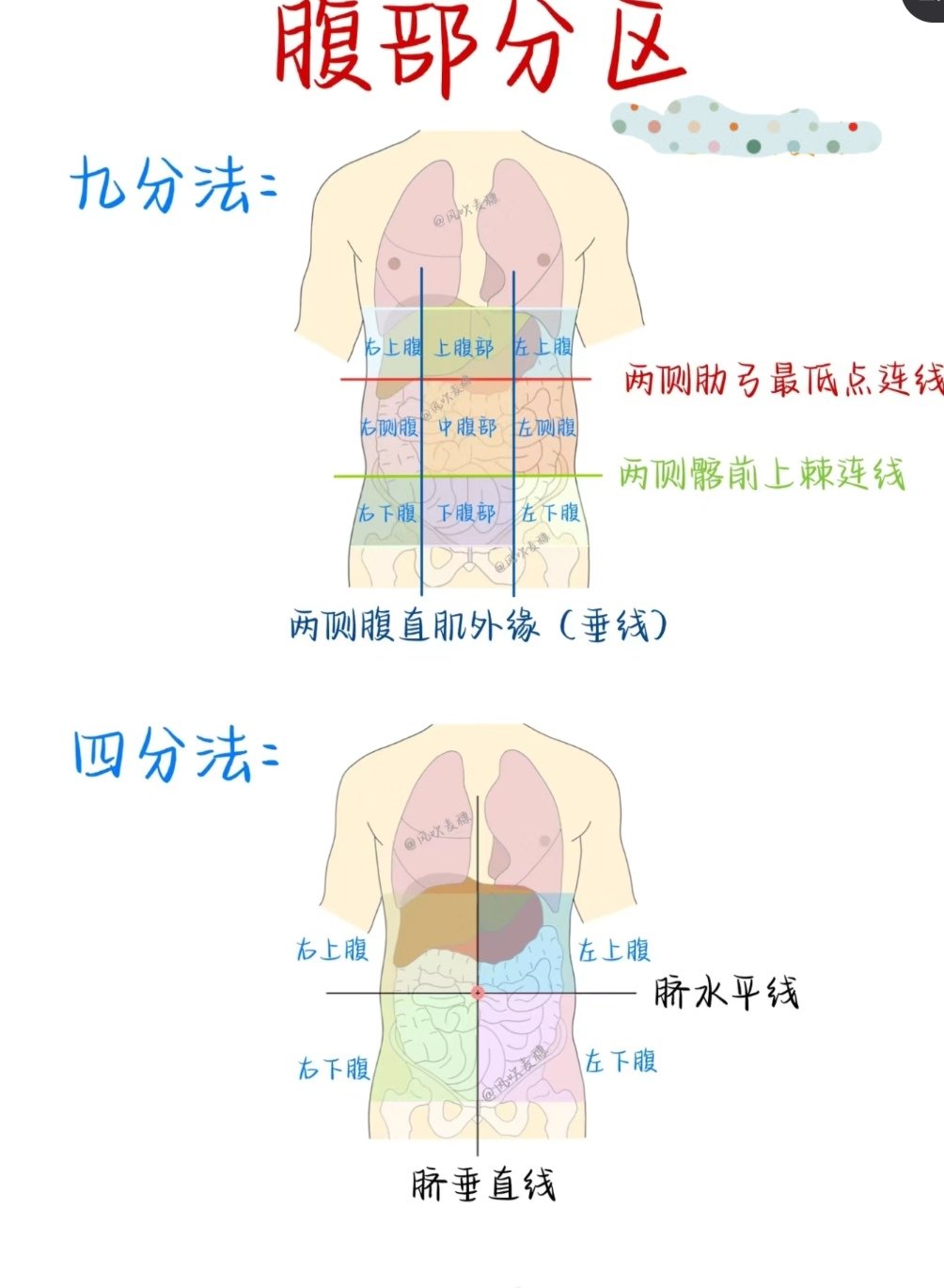 不同部位腹痛图