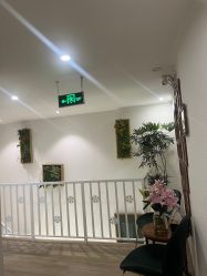 点击看大图 -薇薇安花系SPA