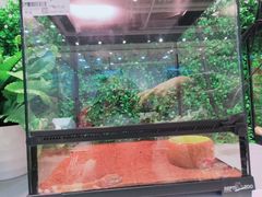 -狗道宠物(常熟印象城店)