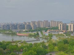 -飞凤山奥体公园