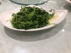 -金蝉食府(维吉奥广场店)