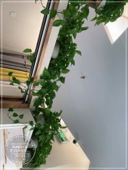 点击看大图 -尚艺造型.剪烫染.接发