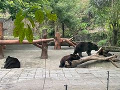 -深圳野生动物园
