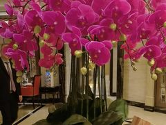 -上海小南国(国发店)