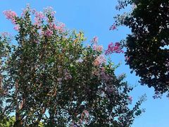 -呼吸森林·生态农庄农家乐私房菜