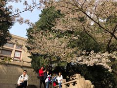 -武汉大学-樱园