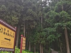 -罗田薄刀峰风景区