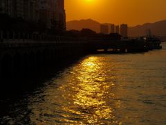 -星龙海鲜(望江东路店)