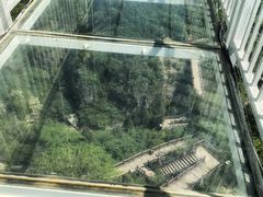 -皇藏峪国家森林公园