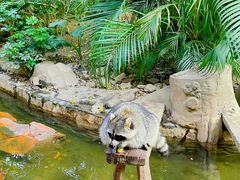 -长鹿旅游休博园