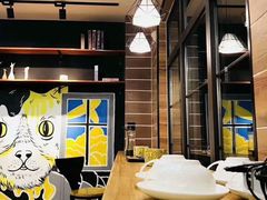 -美联众合宠物医院·爱萌分院·内外科·猫科中心