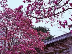 -郑和公园