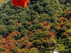 -少华山国家森林公园