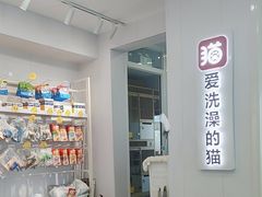 -爱洗澡的猫(望京店)