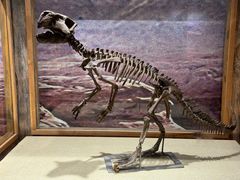 -国家自然博物馆