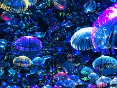 -天津梵高星空艺术馆(天河城旗舰店)