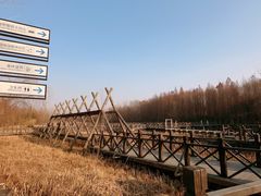 -溱湖国家湿地公园