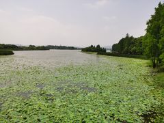 -东湖落雁景区