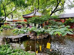 -白家大院·王府宫廷菜(苏州街店)