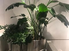 -喜茶(上海五角场万达店)