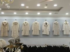 -肃宁华斯国际裘皮城