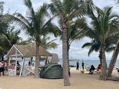 -玫瑰海岸文化旅游度假区