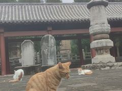 -四门塔风景区