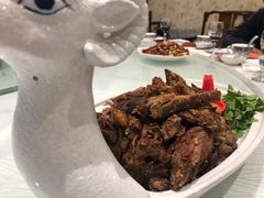 -金蝉食府(维吉奥广场店)