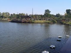 -王借岗森林公园