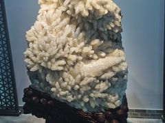 -游龙石文化科普馆