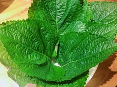 苏子叶-红沃烤肉(家乐福2部店)