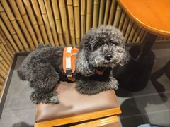 -瑞虹新天地月亮湾